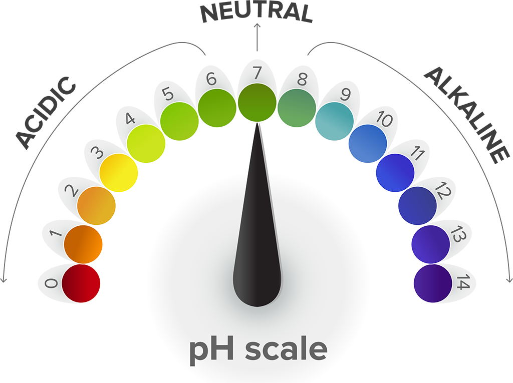 the ph value of neutral solution increases